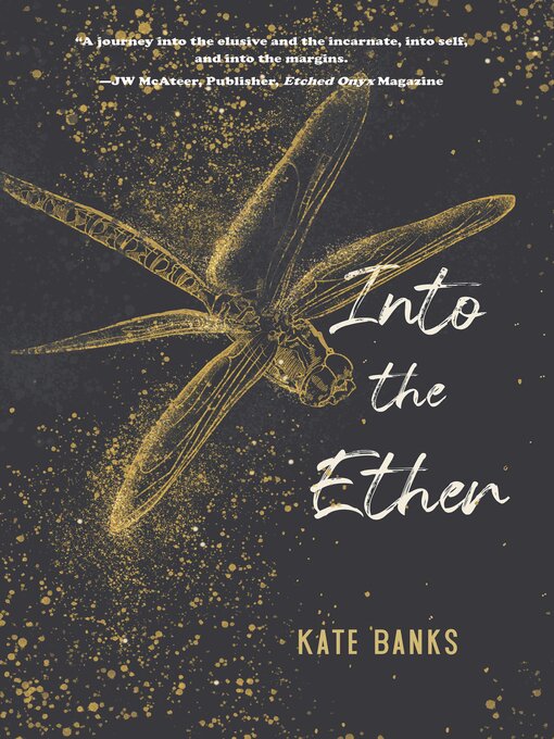 Cover image for Into the Ether
